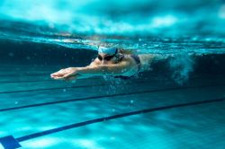 Image de la catégorie Natation
